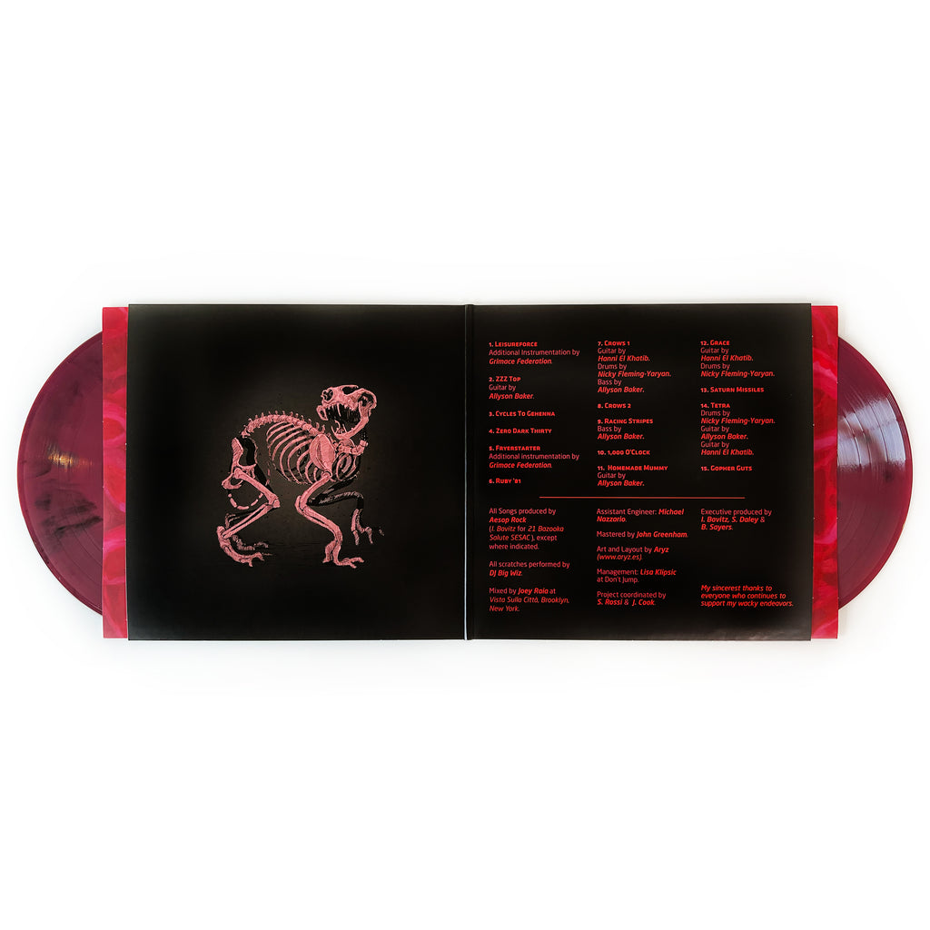 "Skelethon (Instrumentals)" Vinyl